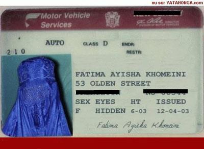 zajímavosti12.jpg